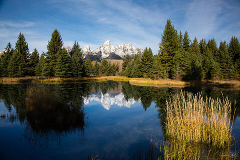 Grand Teton Fine Art Photography Prints | Tamara Gooch | Tamara