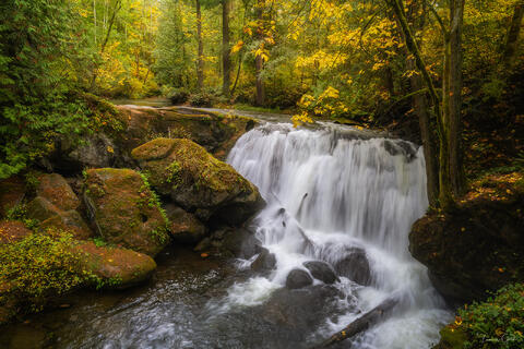 Silky waterfall over mossy basalt boulders surrounded by golden autumn forest, Whatcom Falls, Bellingham, Washington.