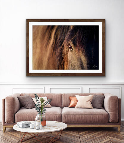 Framed, frame, Roma, museum quality, fine art prints, horse photos, horse prints, euqine photography, equine fine art photographs...