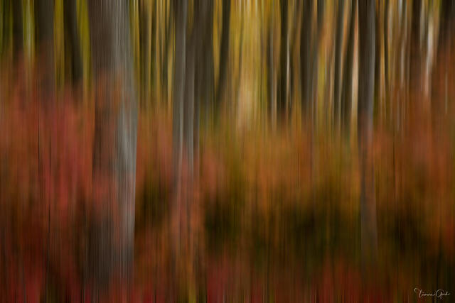 Abstract autumn forest photography with vertical motion blur, featuring warm earth tones and soft light for luxury interior design.
