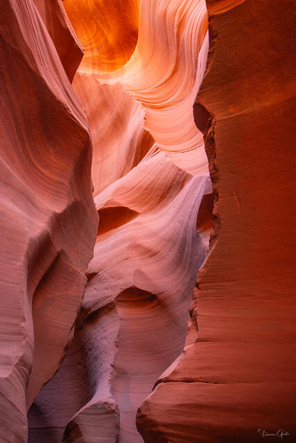 Canyon Light — Upper Antelope Canyon, Arizona print