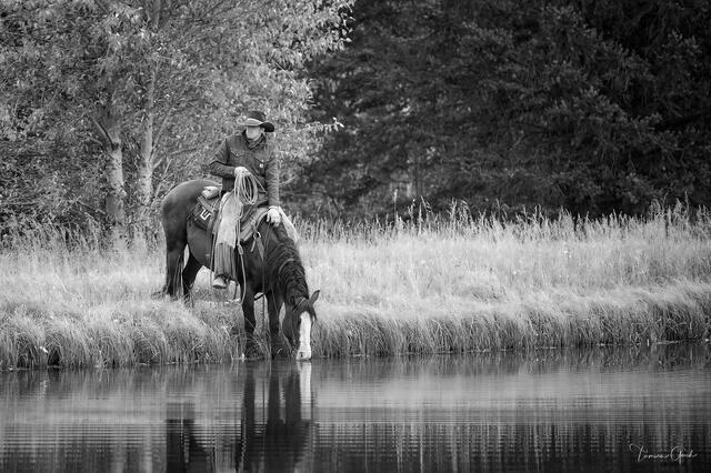 Watering Hole — Cowboy and Horse, Wyoming print