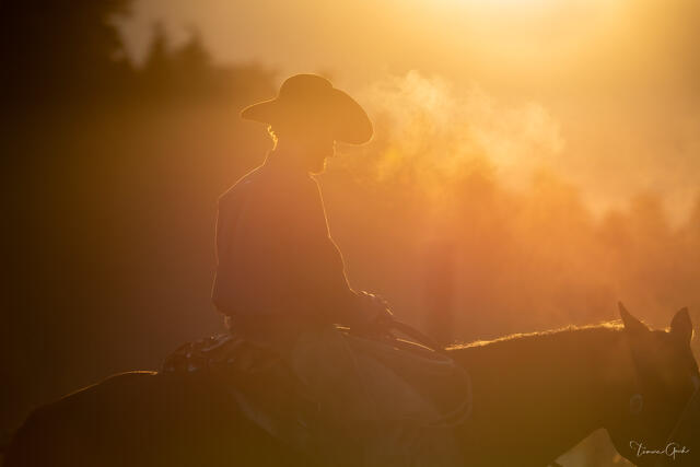 Golden Haze — Cowboy at Sunrise, Wyoming print