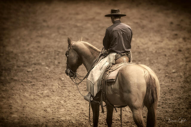 The Vaquero Legacy | Western Fine Art Print | Tamara Gooch