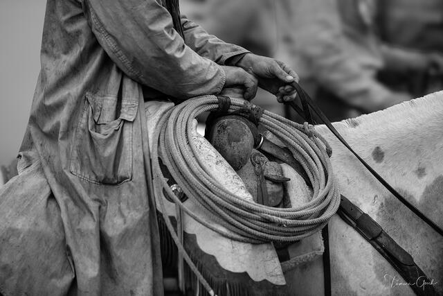 The Roper — Western Fine Art Print print