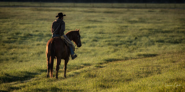 Cowboy Mornings print
