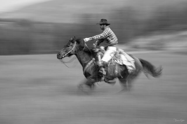 Full Speed — Cowboy at Full Gallop, American West print