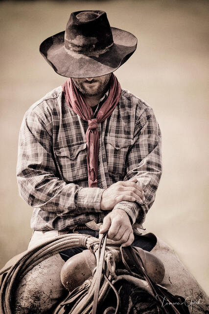 Working Cowboy print