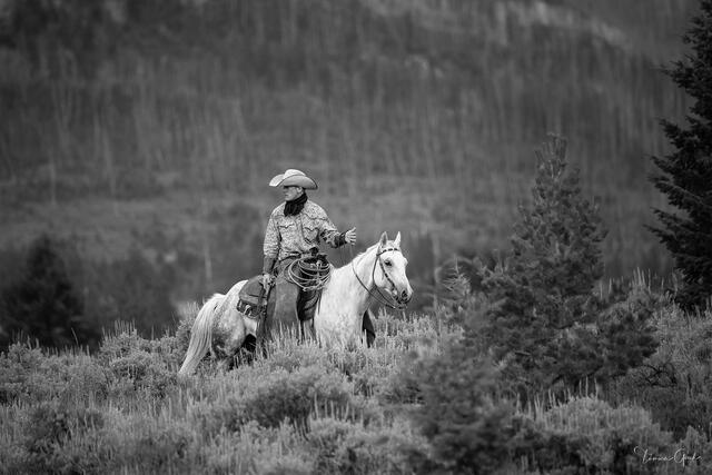 Above the Sage — Cowboy and White Horse, Wyoming High Country print