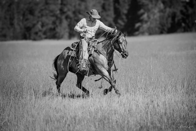 Working the Rope — Cowboy and Quarter Horse, Wyoming print
