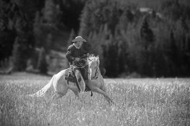 Full Gallop — Cowboy and Paint Horse, Wyoming print
