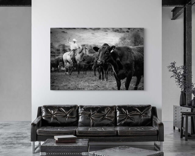 Western cattle fine art photography print installed as large format wall art in a ranch interior