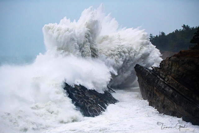 Massive wave exploding against Shore Acres basalt rocks, towering white water column, Oregon coast fine art photography by Tamara Gooch.