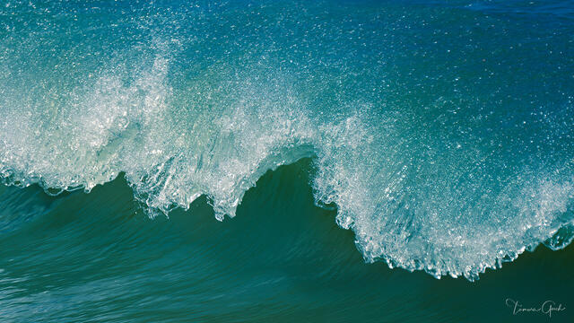 A fine art limited edition print of a cresting wave in the beautiful aqua blue color of the ocean off the Florida coast.