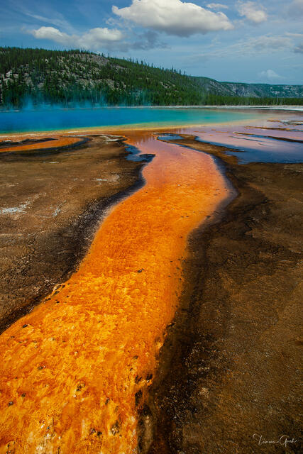 Prismatic Fire — Grand Prismatic Spring, Yellowstone National Park, Wyoming print