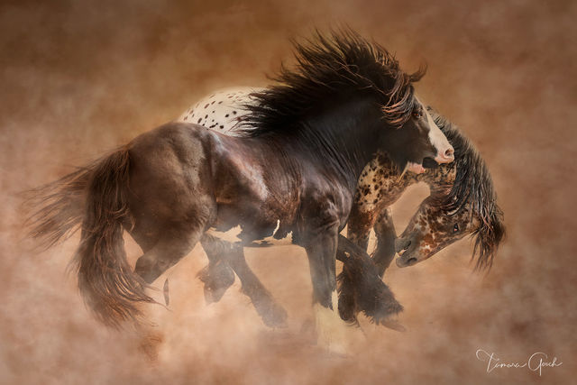 Playful Gypsy Horses print