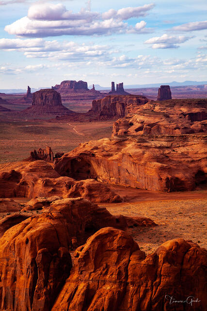 Hunts Mesa print