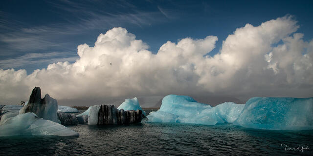 Arctic Sentinels print