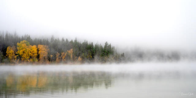 Stillness of Light print