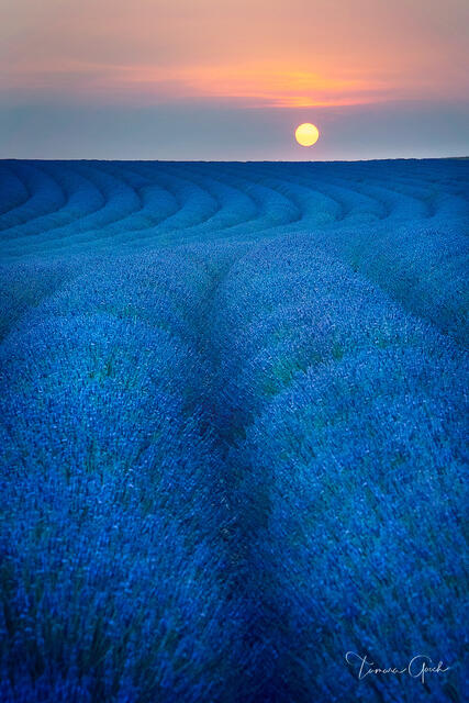Photo print, Lavender Field Sunrise, for sale as a limited edition fine art photograph 