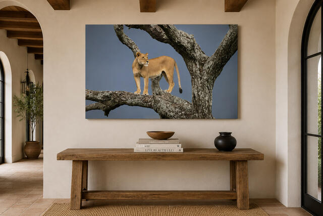 Fine art lioness photograph anchoring a hacienda-style room as a single focal statement