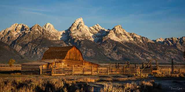 John Moulton Barn on Mormon Row glowing in golden sunrise light with snow-capped Teton Range behind, Grand Teton National Park.
