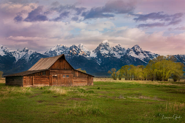 Moulton Barn print