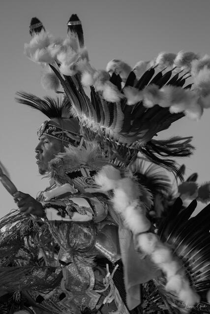 Feathers and Fire — Native American Pow Wow Dancer, American West print