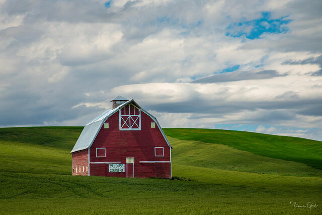 Palouse Country — The Red Barn, Eastern Washington print