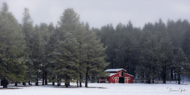 red barn in snow near flagstaff arizona fine art photography print with pine trees winter landscape