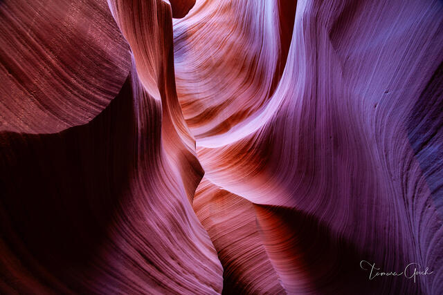 Curves and Lines print
