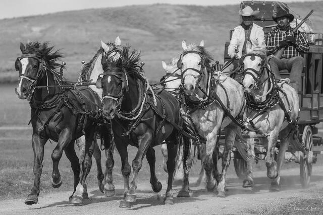 Enduring Journey — Western Fine Art Print print