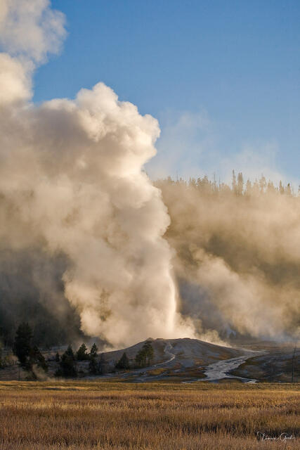 Steamboat — World's Tallest Geyser, Yellowstone National Park, Wyoming print