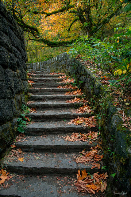 Autumn Steps — Columbia River Gorge, Oregon print