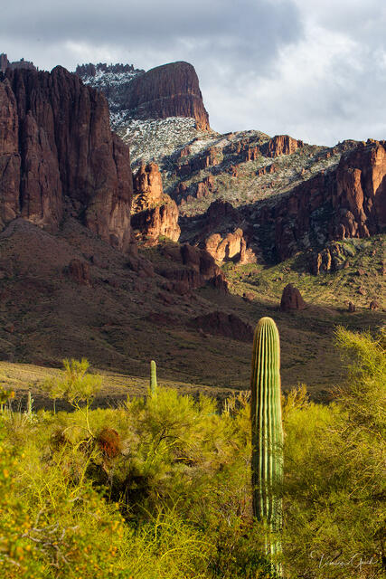 Sonoran Majesty: Winter in the Superstitions print