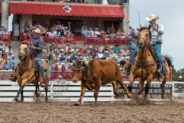 Header and Heeler — Team Roping, Cheyenne Frontier Days, Wyoming print