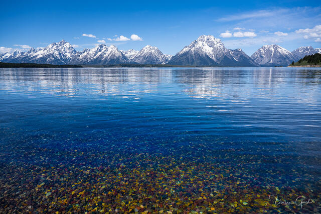 Teton Clarity: The Mosaic of Jackson Lake print