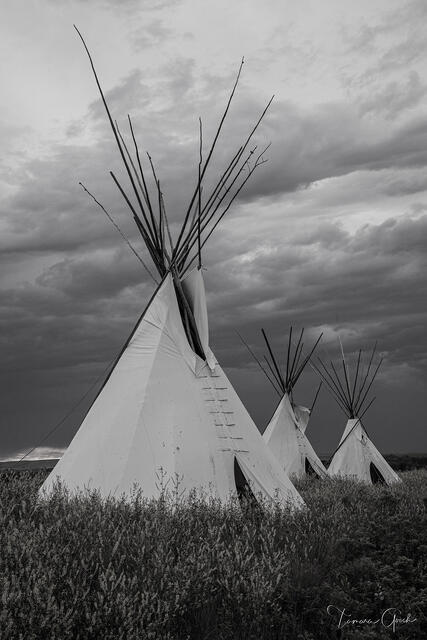 Teepees print