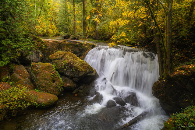 Golden Falls — Whatcom Falls, Bellingham, Washington print