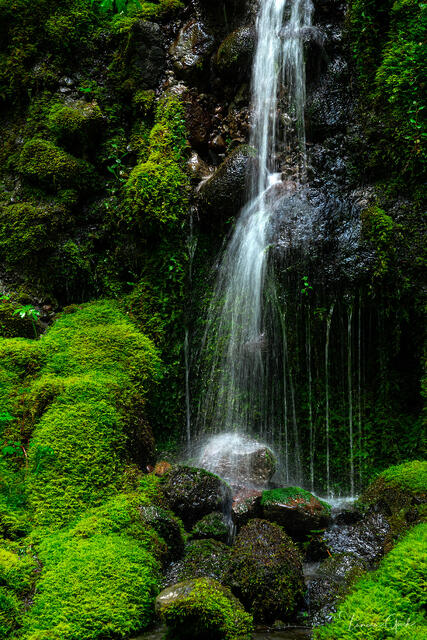 Waterfall and Mossy Rocks print