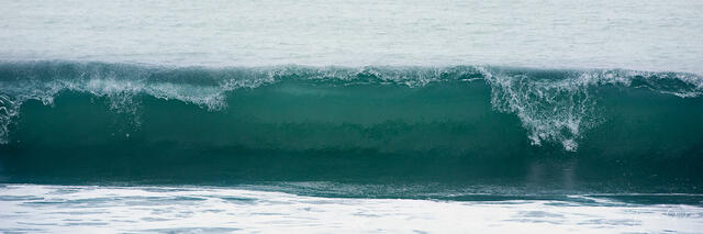 Color panoramic fine art photo of a translucent teal wave at the moment of breaking, white foam cresting, Destin, Florida.