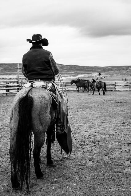 Working Cowboy print
