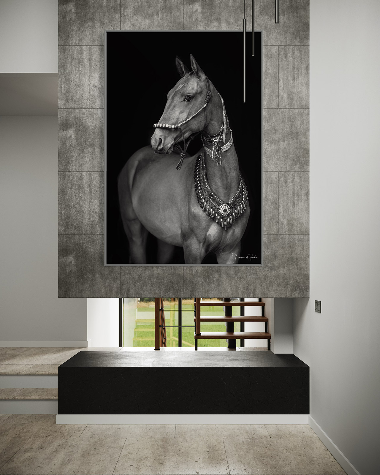 Black and white Akhal-Teke Horse Fine art Limited Edition Print