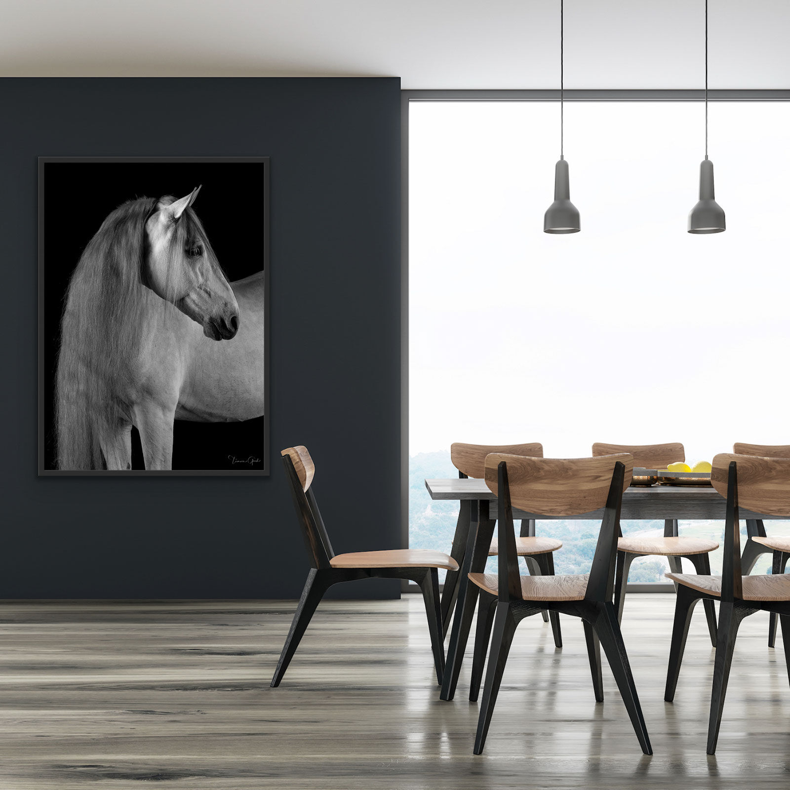 Framed Andalusian Horse photo print