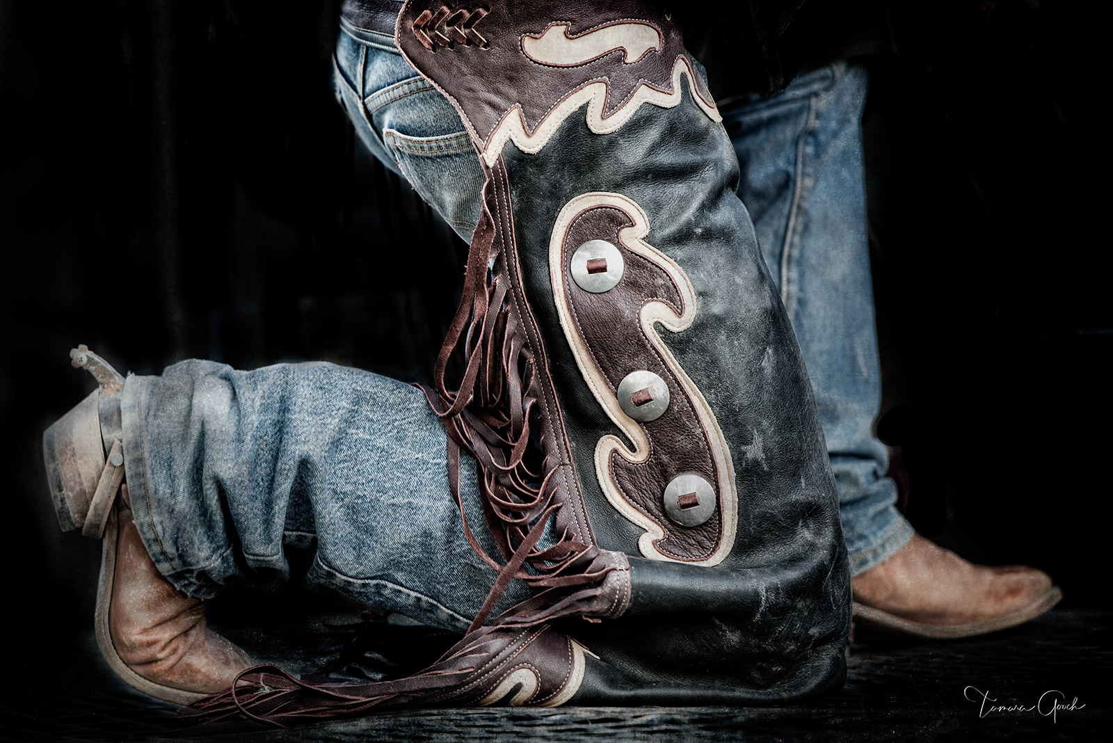 Rodeo cowboy kneeling wearing Boots, Chaps and Spurs.