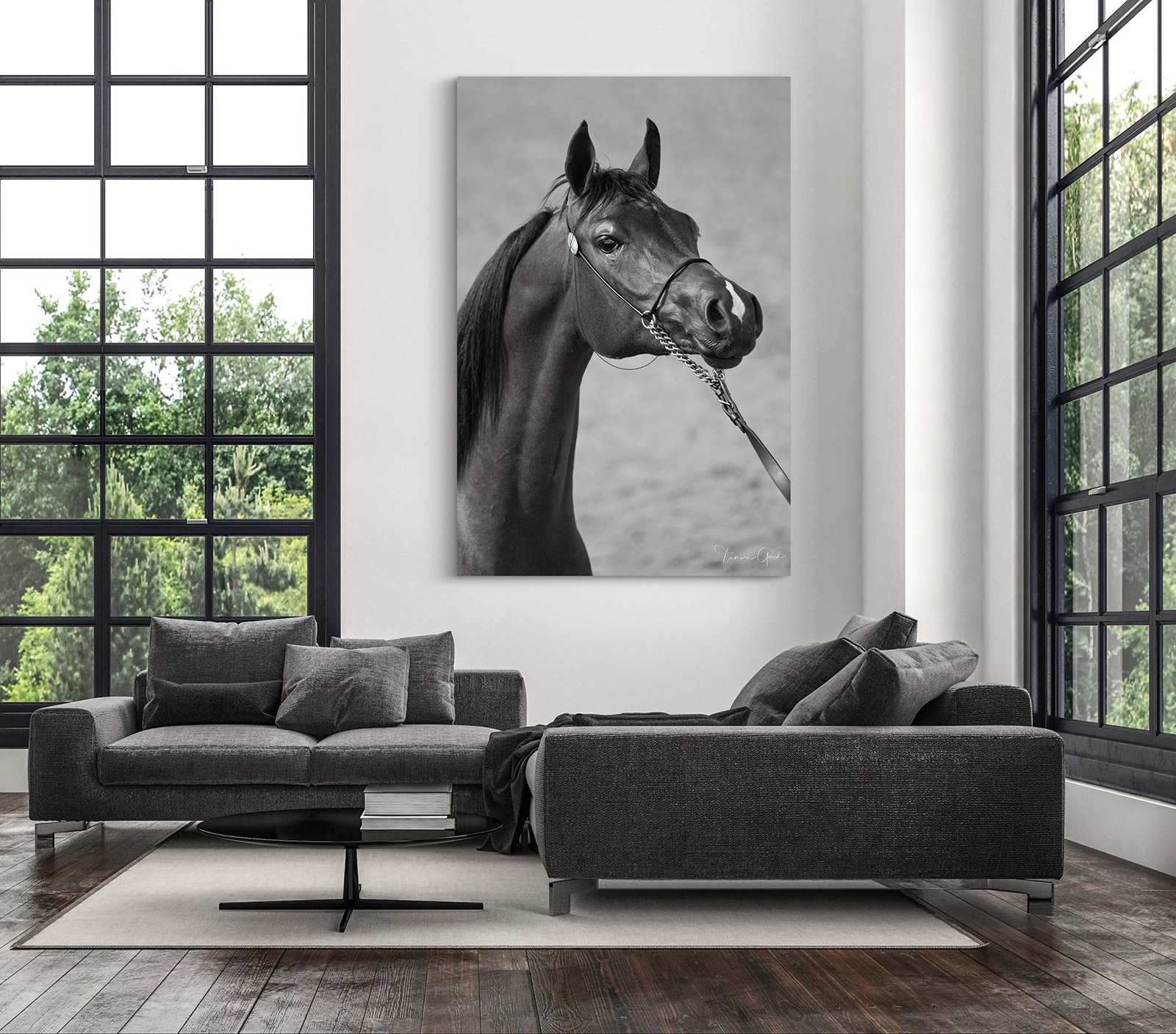 Black and White Arabian Horse Photo Print