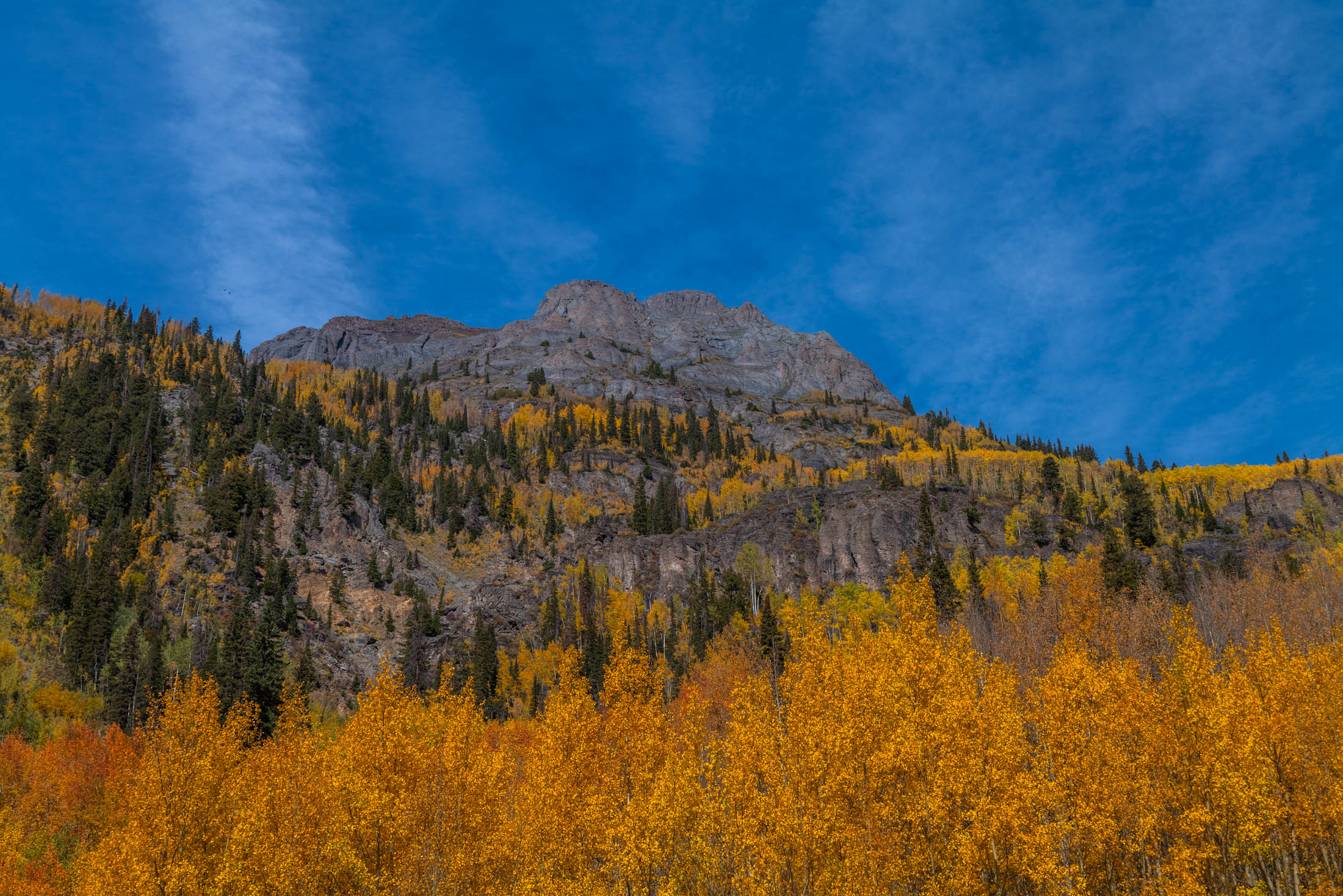 San Juan Gold Rush Golden aspen groves blanket the slopes below a rugged San Juan Mountains rock face under a deep blue Colorado sky.