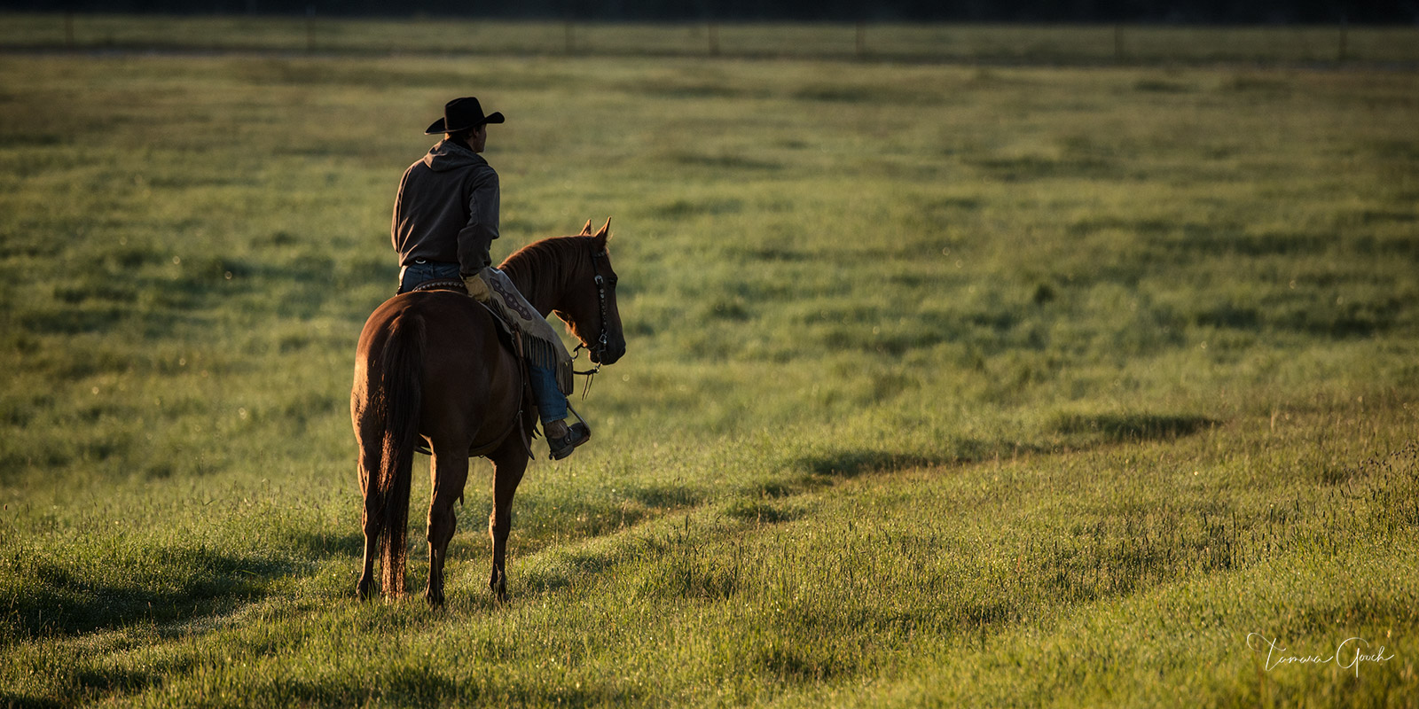 cowboy partly silhouetted on horseback in the early morning light.