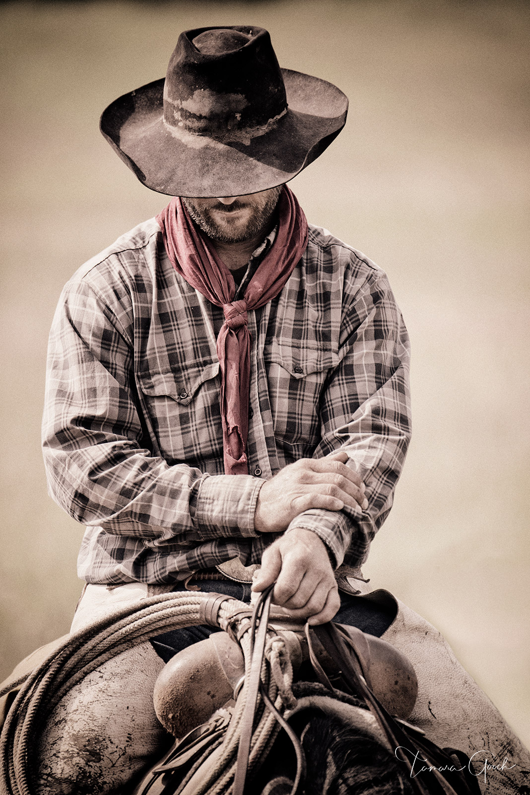 Working Cowboy is a Limited Edition Print of 50Care and Handling How do I clean my artwork?Although I use the finest materials...