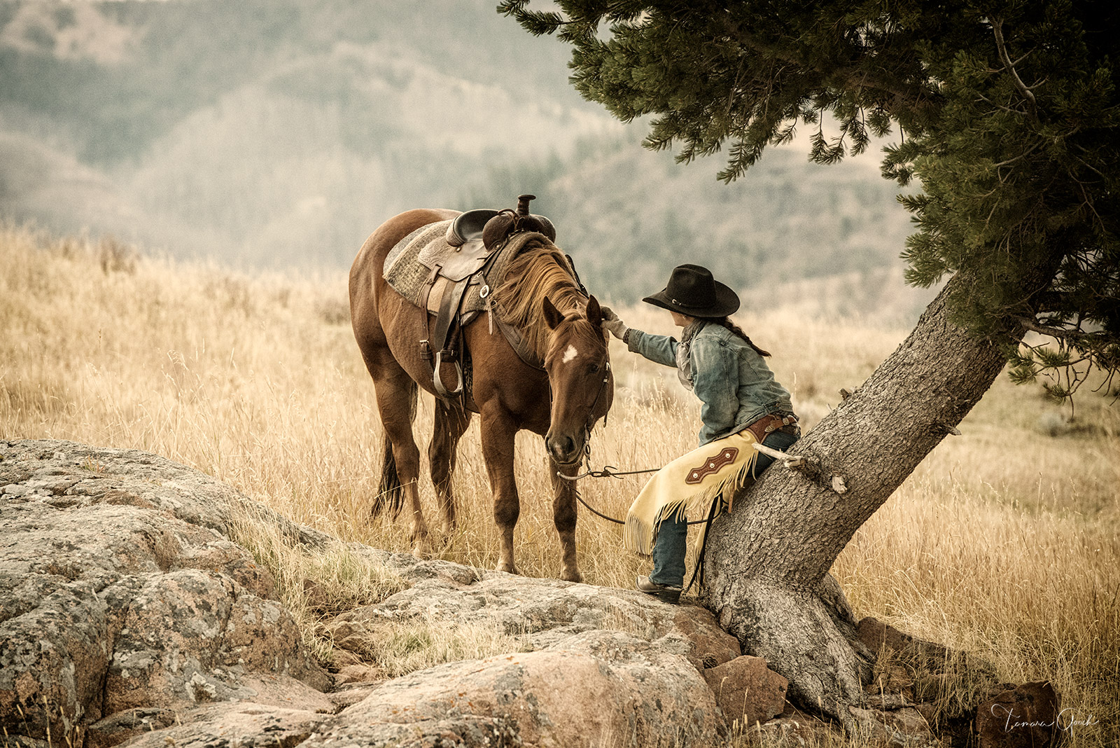 Cowgirl and her Horse is a Limited Edition Print of 50Care and Handling How do I clean my artwork?Although I use the finest materials...